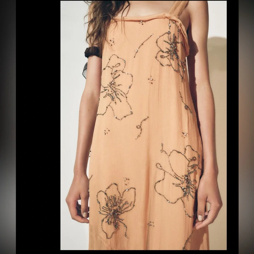 Zara ZW collection embroidered beaded dress - Picture 3 of 15